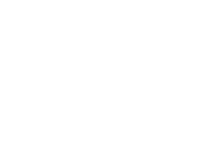 Fanatics